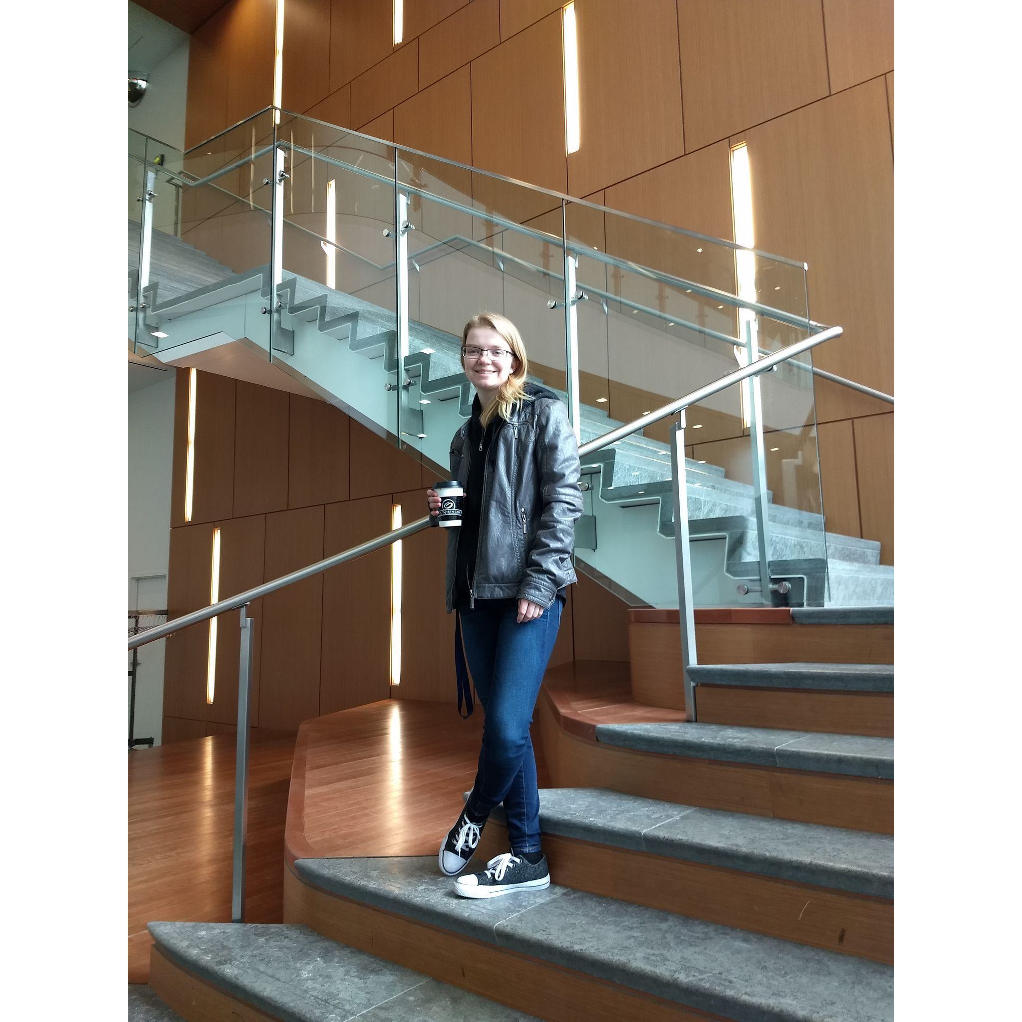 St. Louis never looked so cool