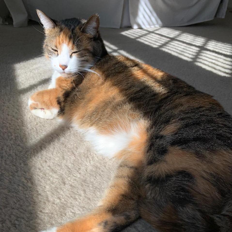 Our daughter, Codeine.