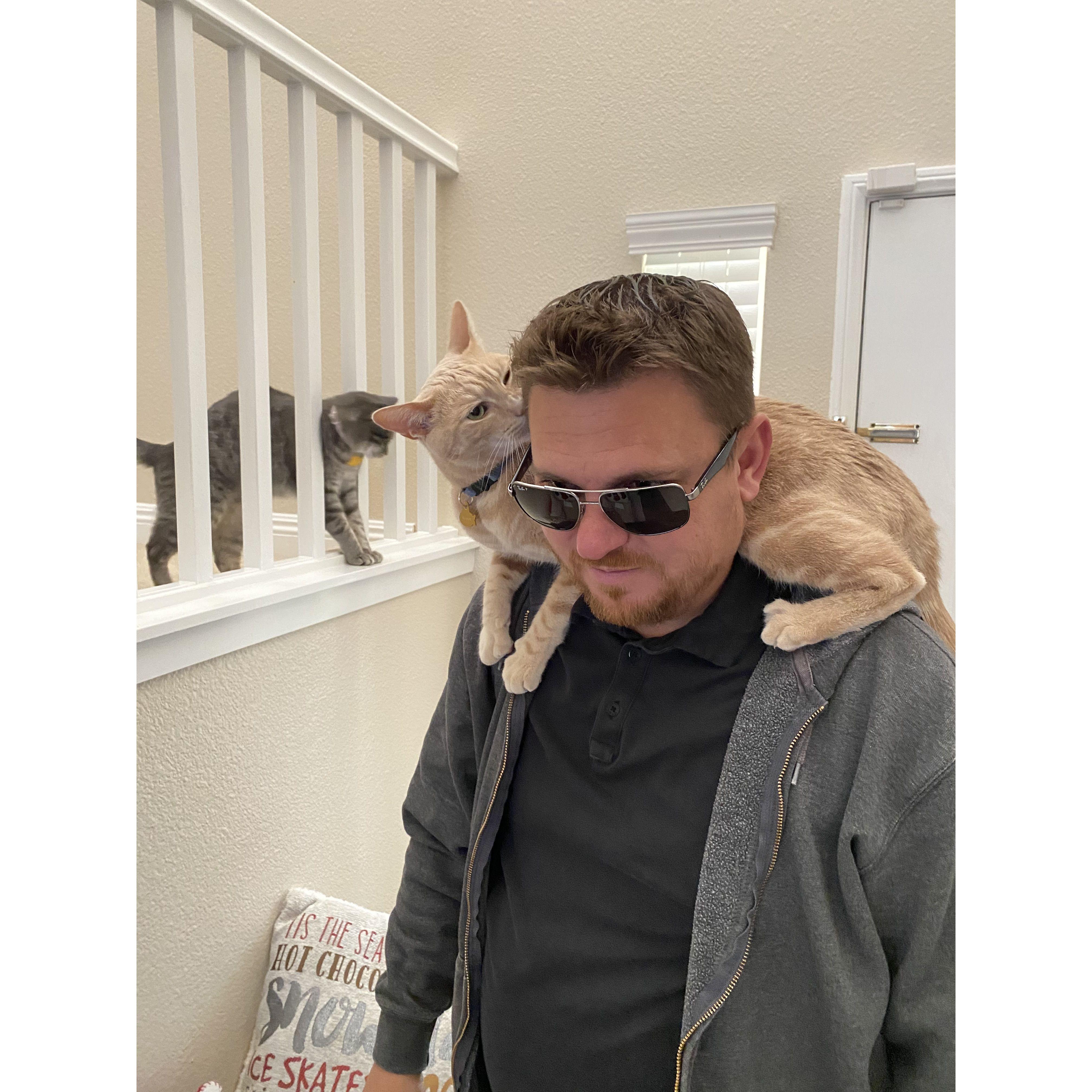 Cat Daddy 2022