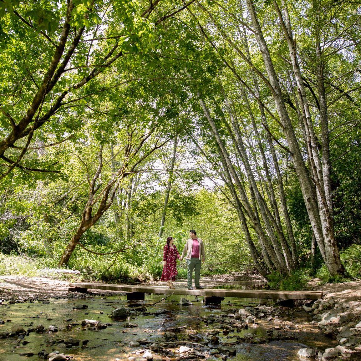 Engagement Photos - Muir Woods
