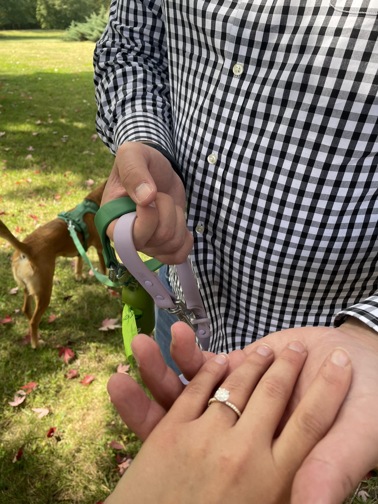 Furry witnesses to the proposal