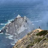 Hike Point Lobos State Natural Reserve!