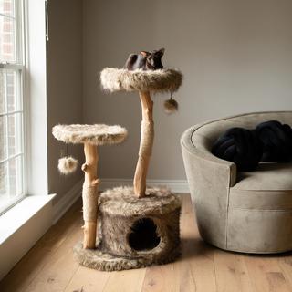 Alba Modern Wooden Cat Tree with Condo