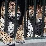 Fort Worth Zoo