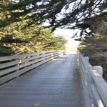 Hike the Coastal Trail