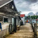 The Cove