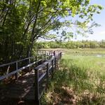 Rachel Carson National Wildlife Refuge