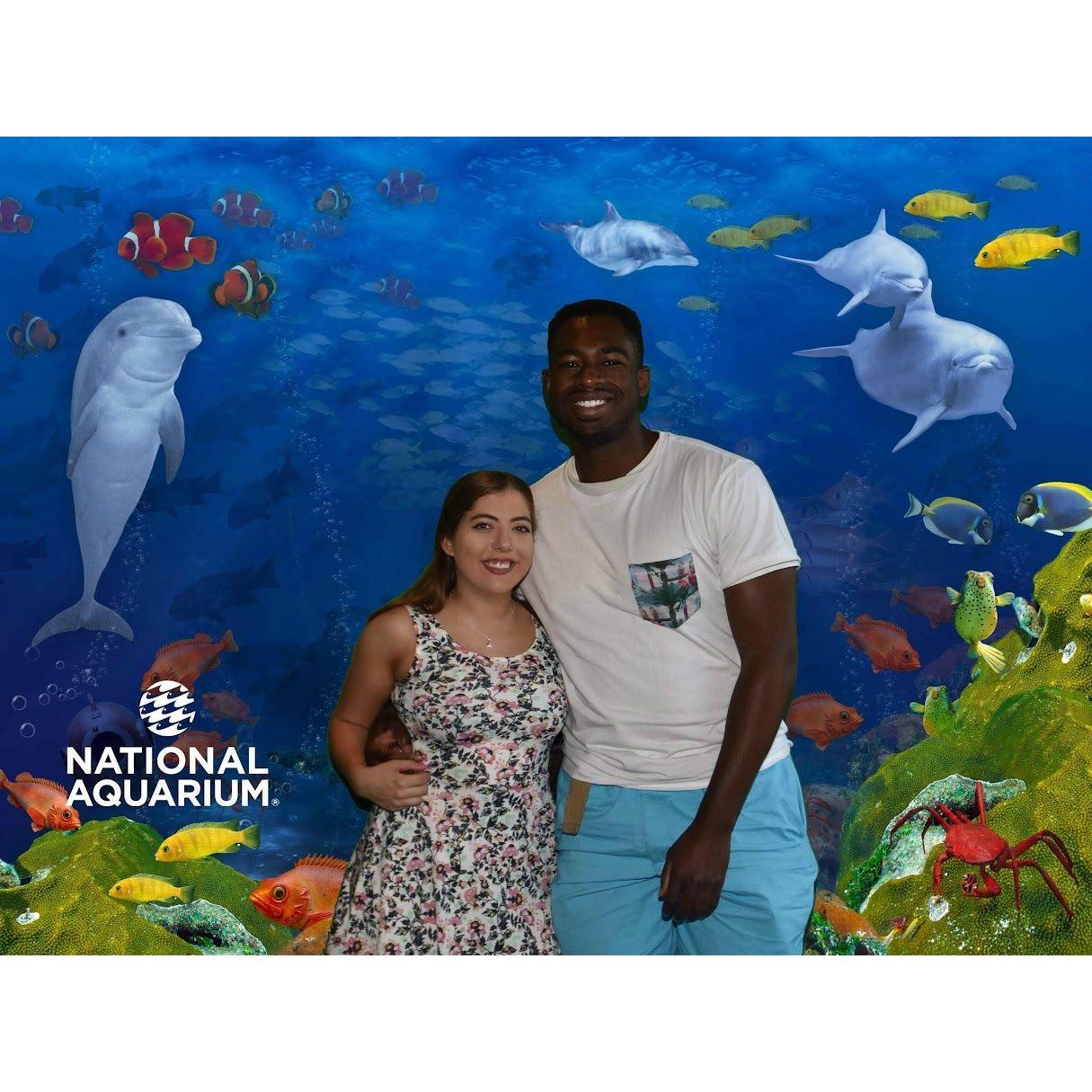July 29, 2018 - Mark took Brynn to the National Aquarium in Baltimore and asked her to be his girlfriend!
