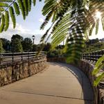 Little Sugar Creek Greenway
