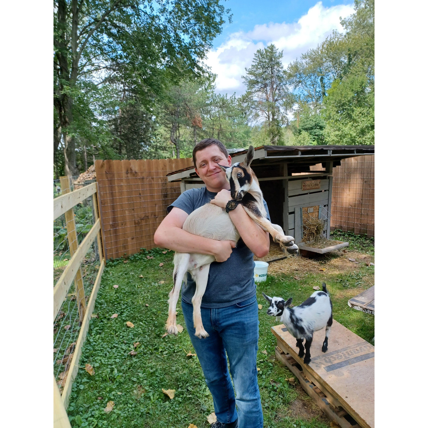 Cullen's first time with the goats
