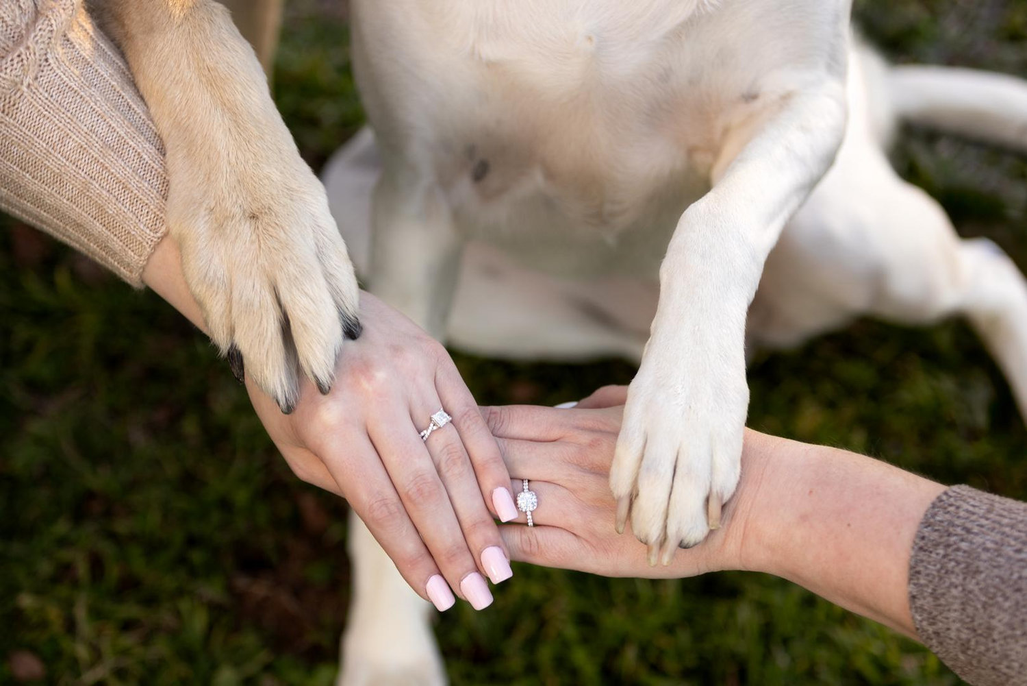 The Wedding Website of Autumn Handley and Elena Allen