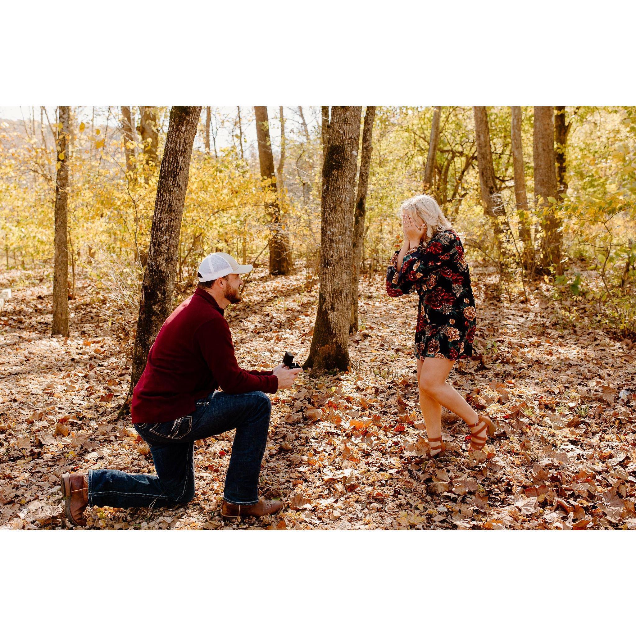 The Proposal 11.01.2020