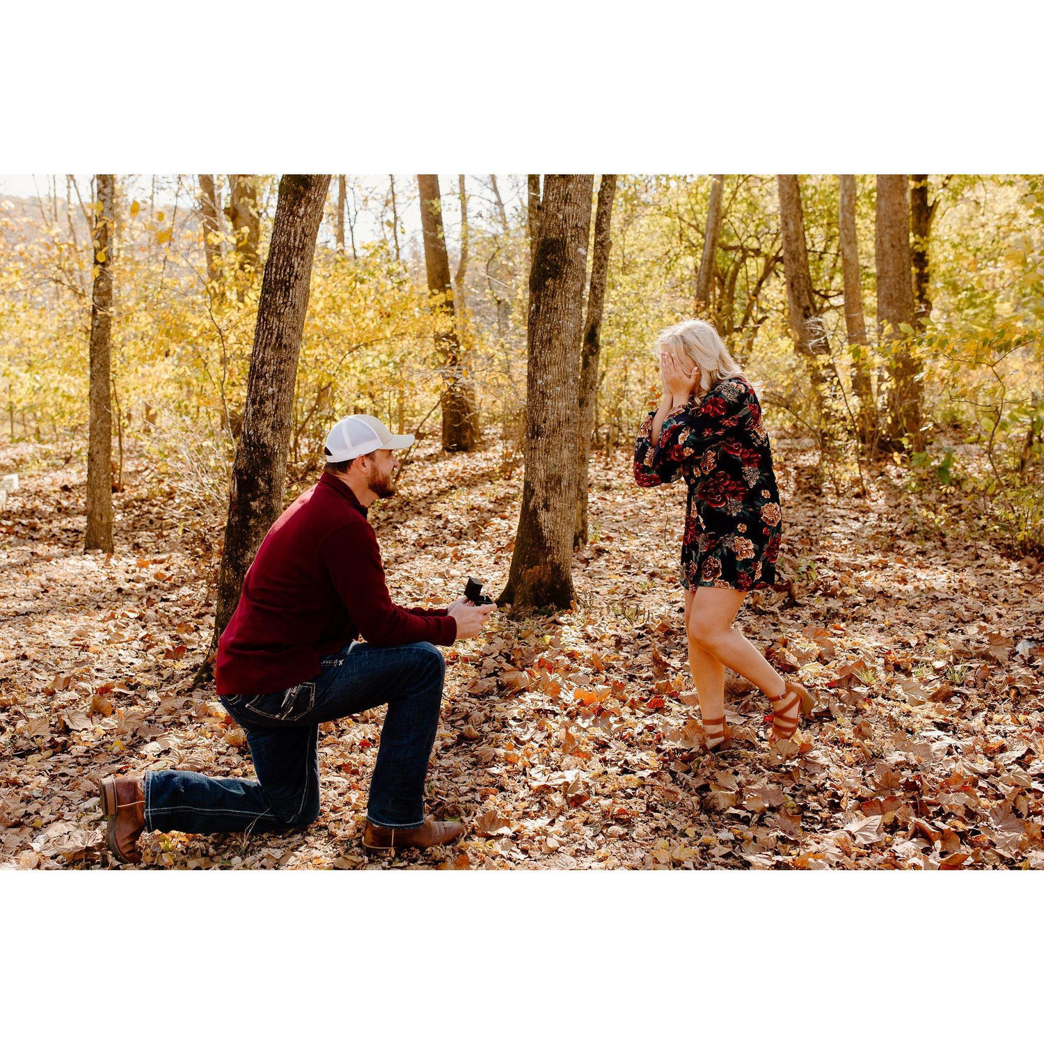 The Proposal 11.01.2020