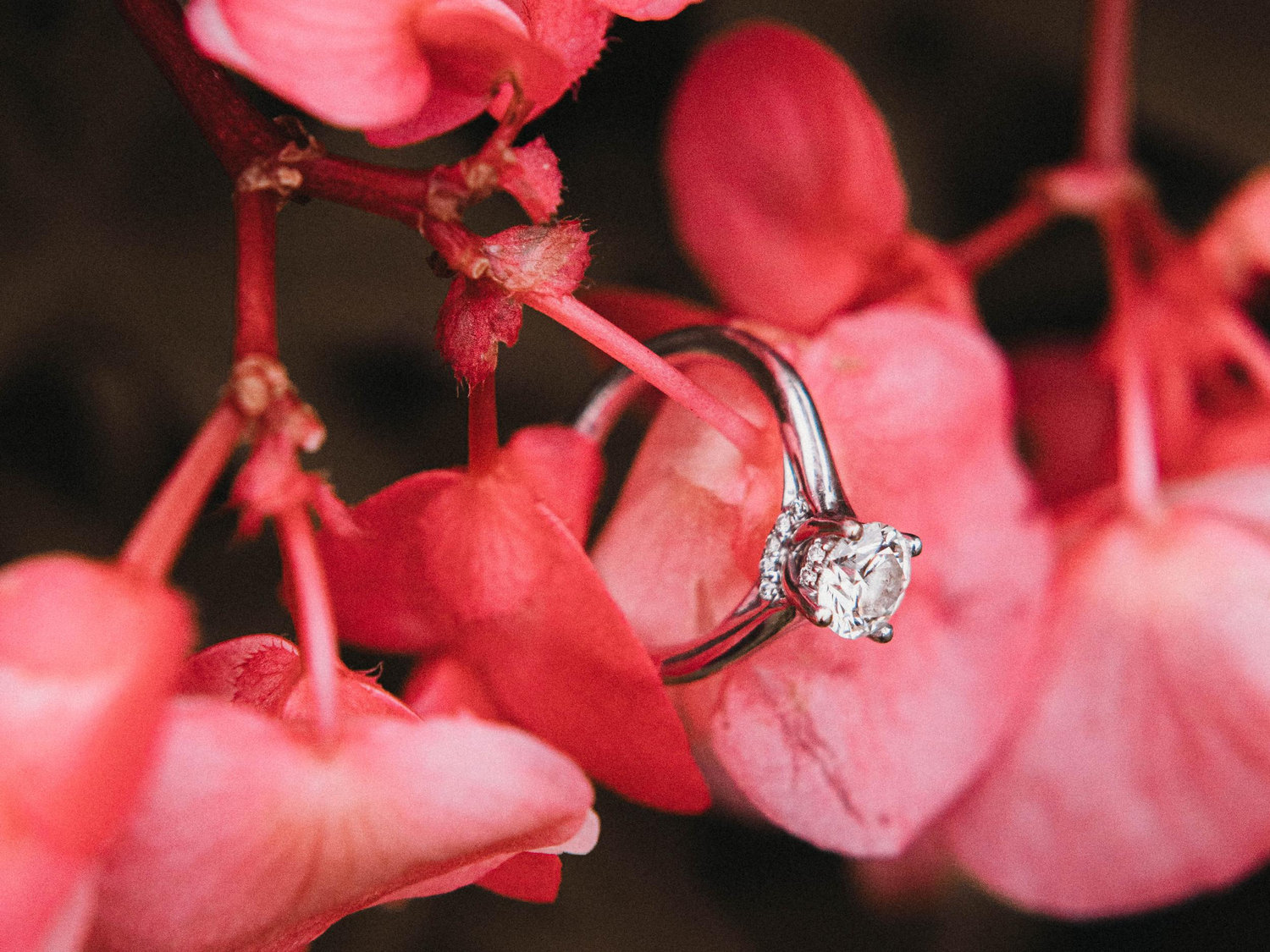 The Wedding Website of Katherine Sicinski and Matthew DeYoung