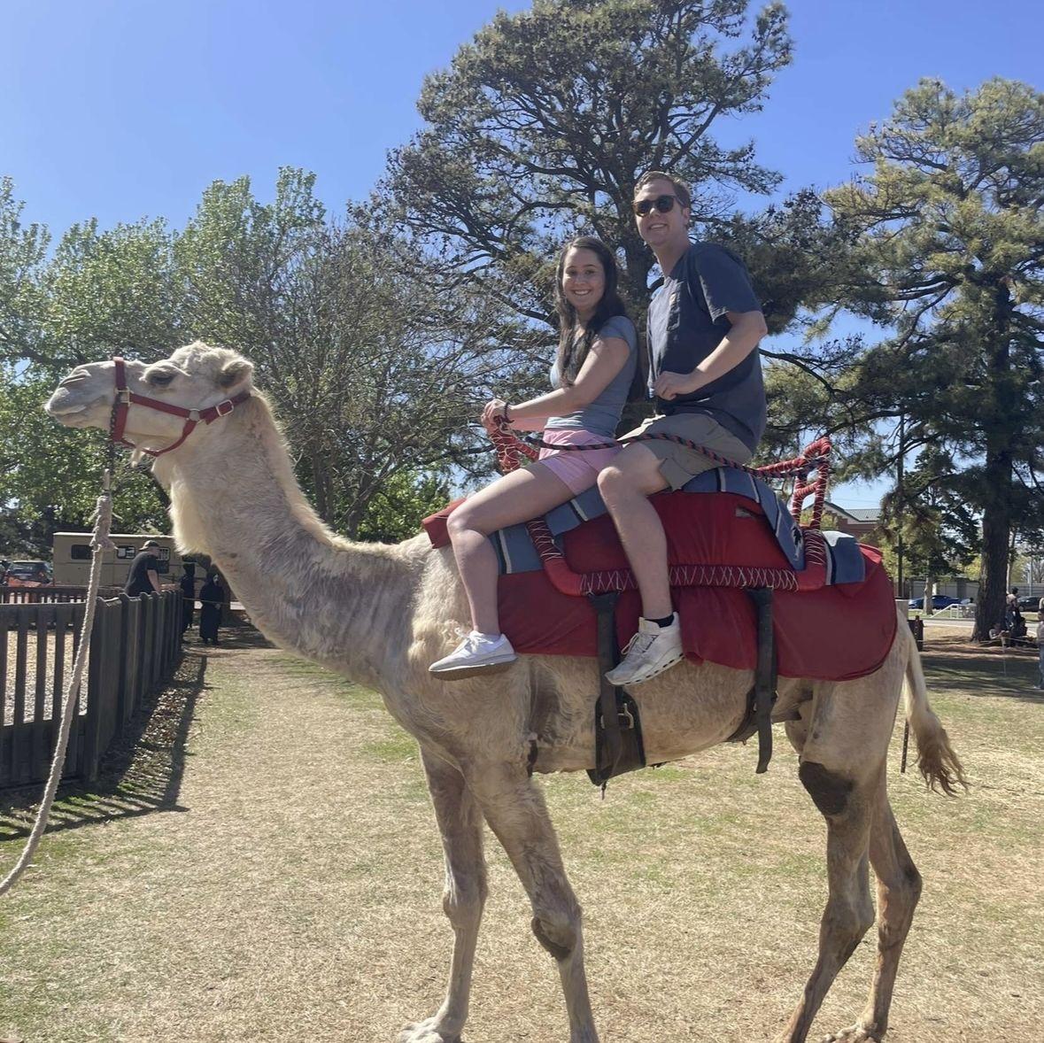 Norman Renaissance Fair