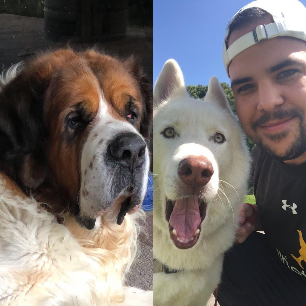 Nacho, an angel guarding LuisFer. Rocco always welcomes you with a smile and energy.