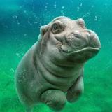 San Diego Zoo