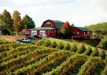 Carter Mountain Orchard