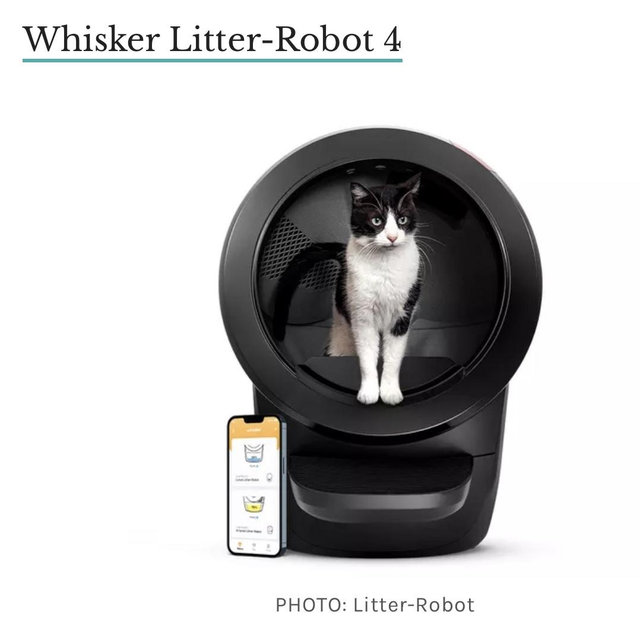 Self Cleaning Litter Box 🐈‍⬛