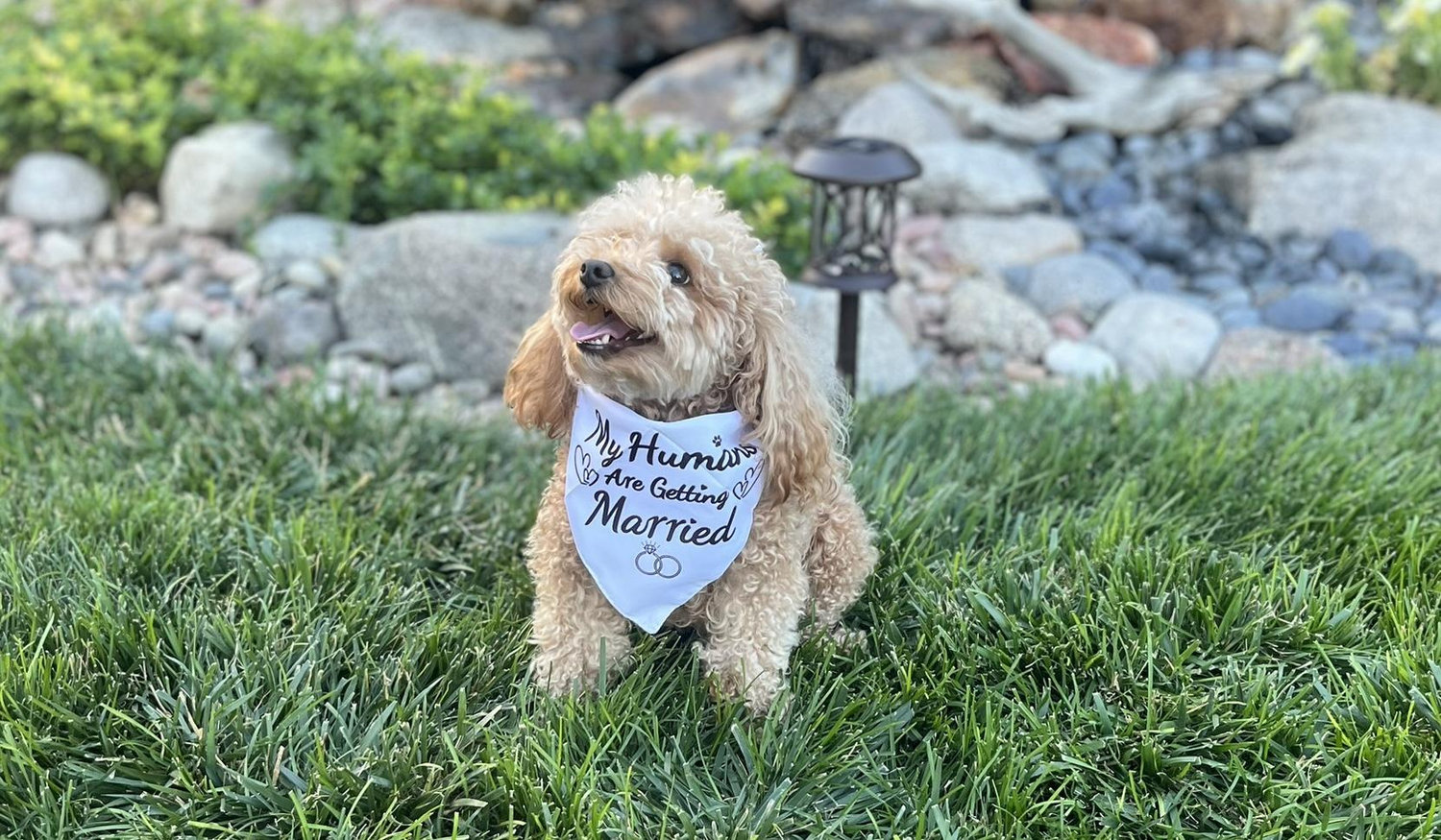 The Wedding Website of Bailey Linette Feely and Phillip Donald Herz