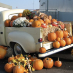 Vala's Pumpkin Patch & Apple Orchard