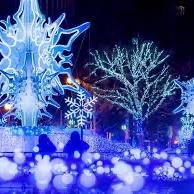 2026 Honeymoon at the Snow Festival in Sapporo, Japan, February 2026