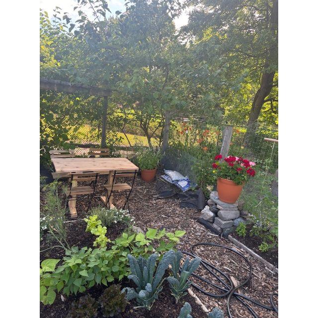 The most doted-upon garden plot in the Fenway Victory Gardens (featuring a table designed and built by Matt from scratch!).