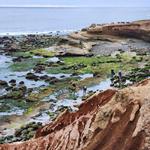Point Loma Tide Pools