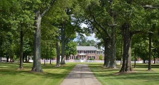 The Wedding Website of Peyton  Gibson  and Meghan  Clark 