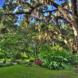 Dunlawton Sugar Mill Gardens