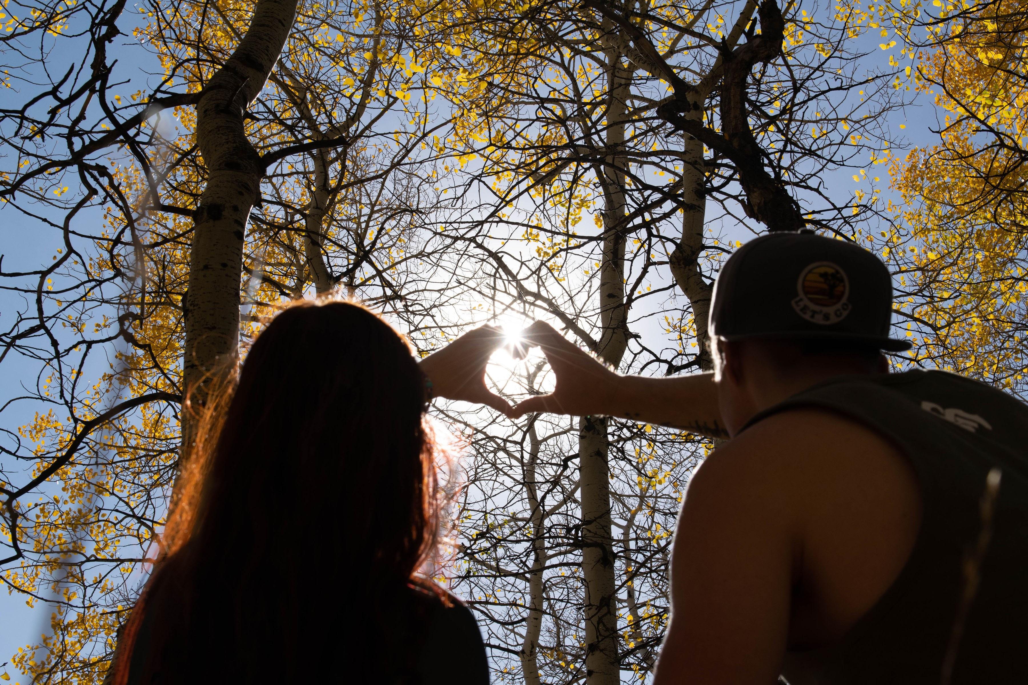 The Wedding Website of Rachel Eckelkamp and Austin Hampton