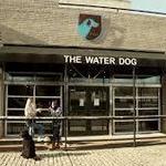 The Water Dog
