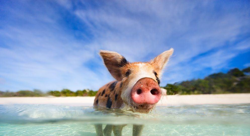 ff6e4f3f-1757-45fe-b999-93d26529a282