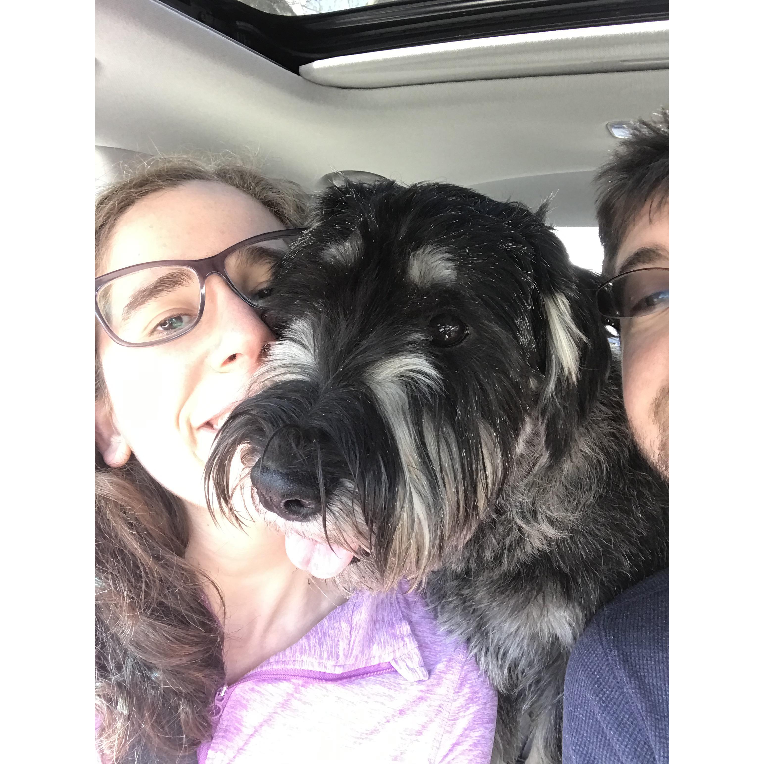 Riding to a hike with Sally, the family puppy :)