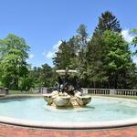 Cranbrook House and Gardens