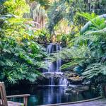 Port St. Lucie Botanical Gardens