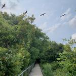Sullivan's Island Beach