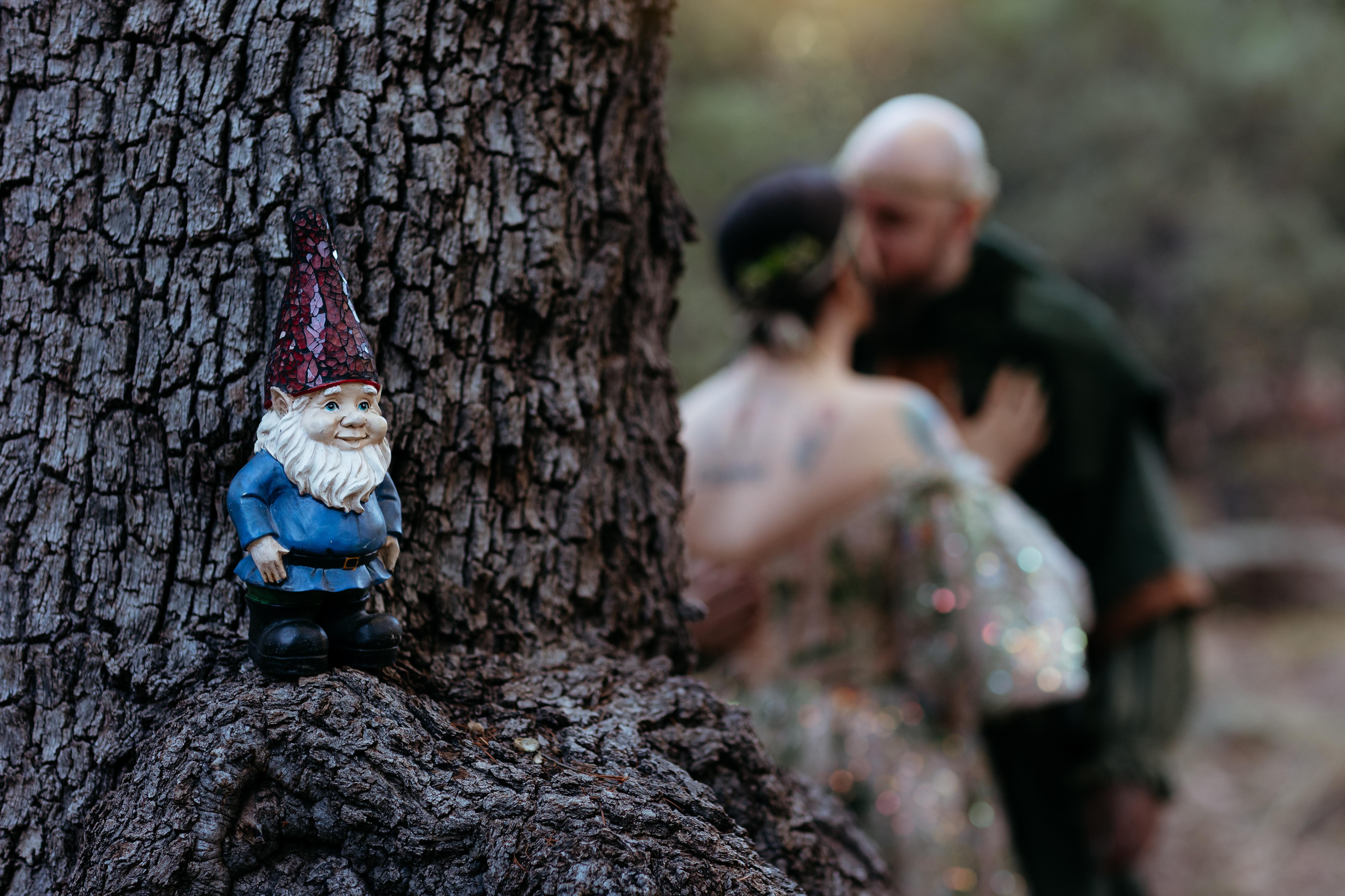 ff73e28a-ac5f-4b19-93e0-442407cc0806