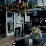 Ponsonby Bars and Nightlife