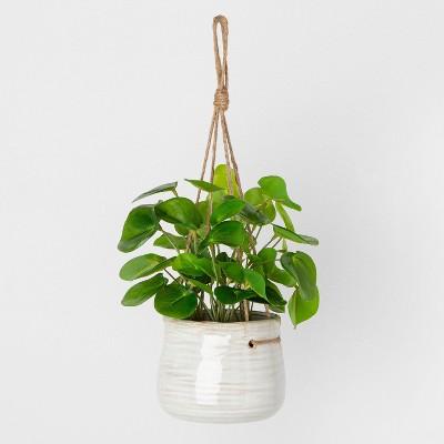 Faux Hanging Pilea Potted Plant - Hearth & Hand™ with Magnolia