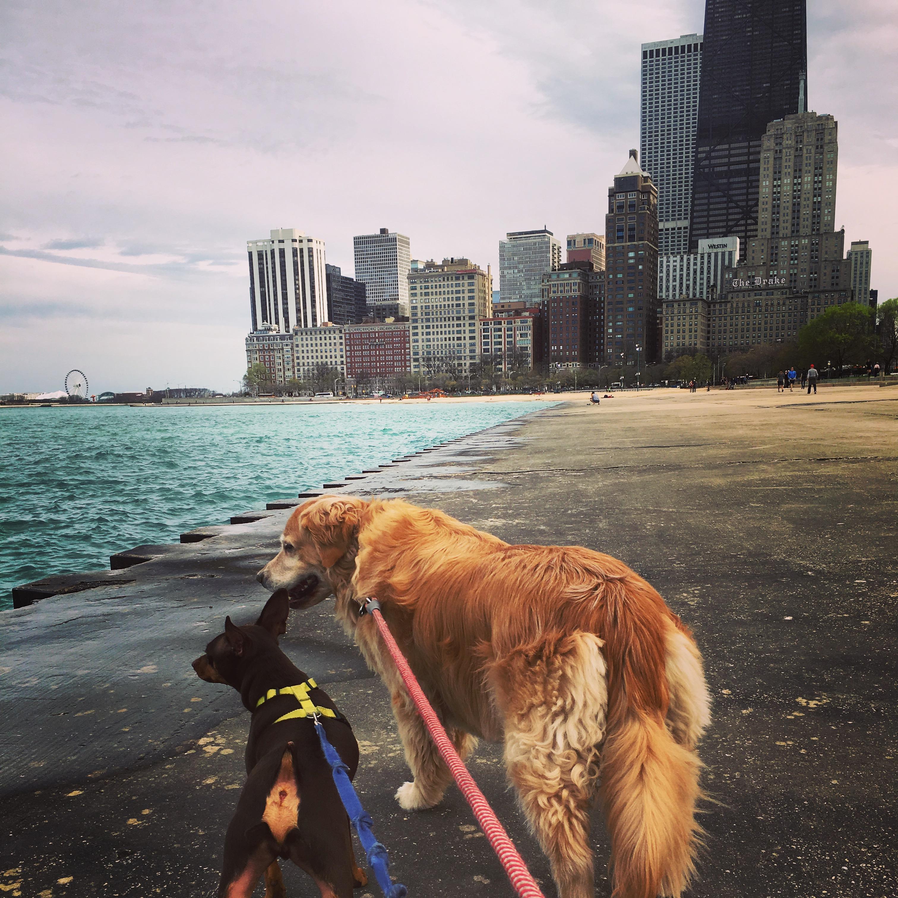 Roger and Mazzie enjoying the lakefront.