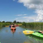 Salt Marsh Ecology Tour