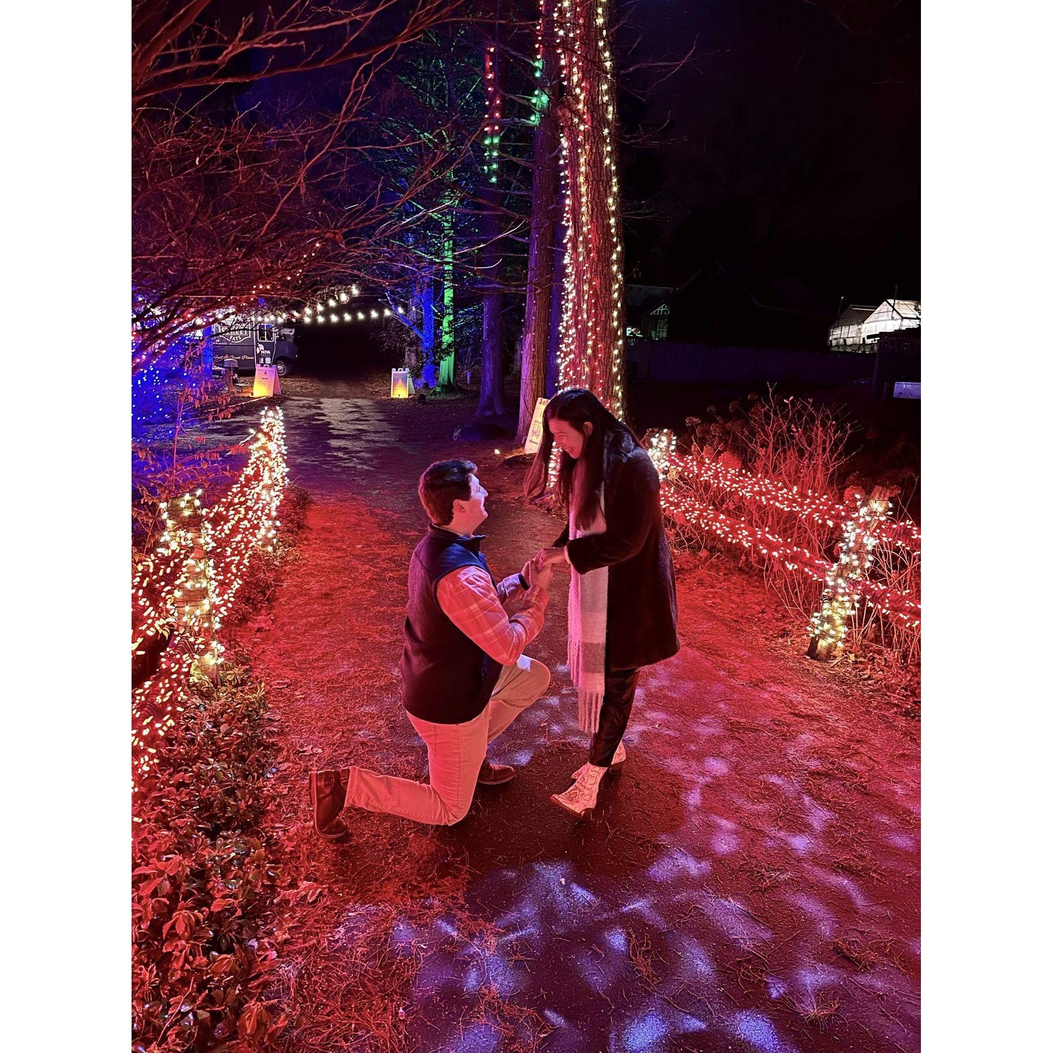 Mickey proposes to JoJo at our Christmas light show