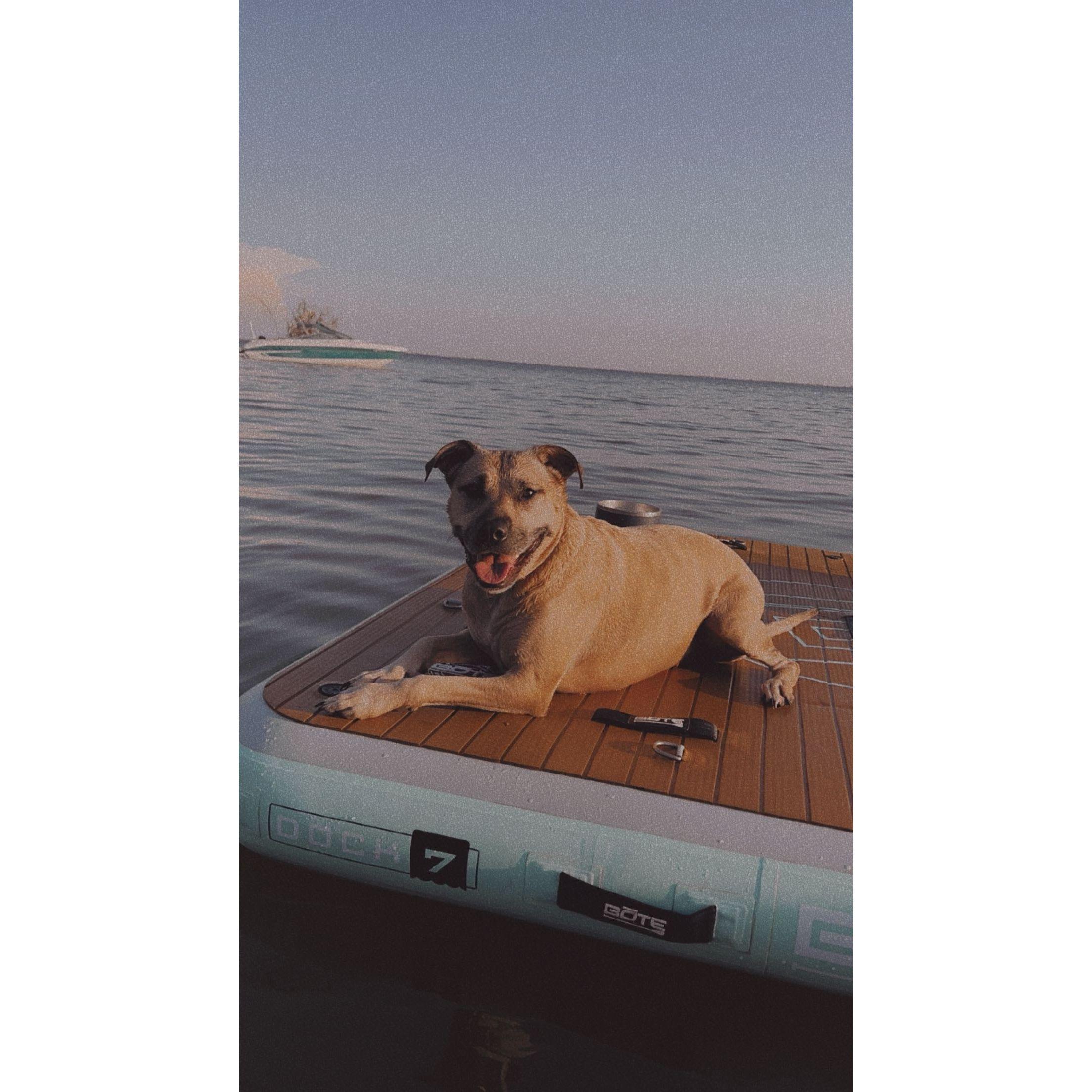 The one and only miss Bella boop
