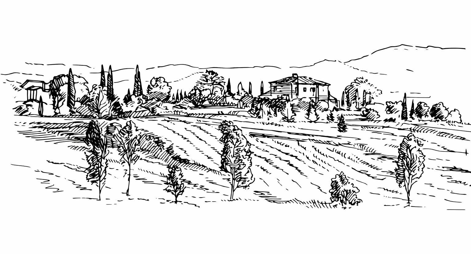 The Wedding Website of Caitlin Thurlow and Joshua Crean