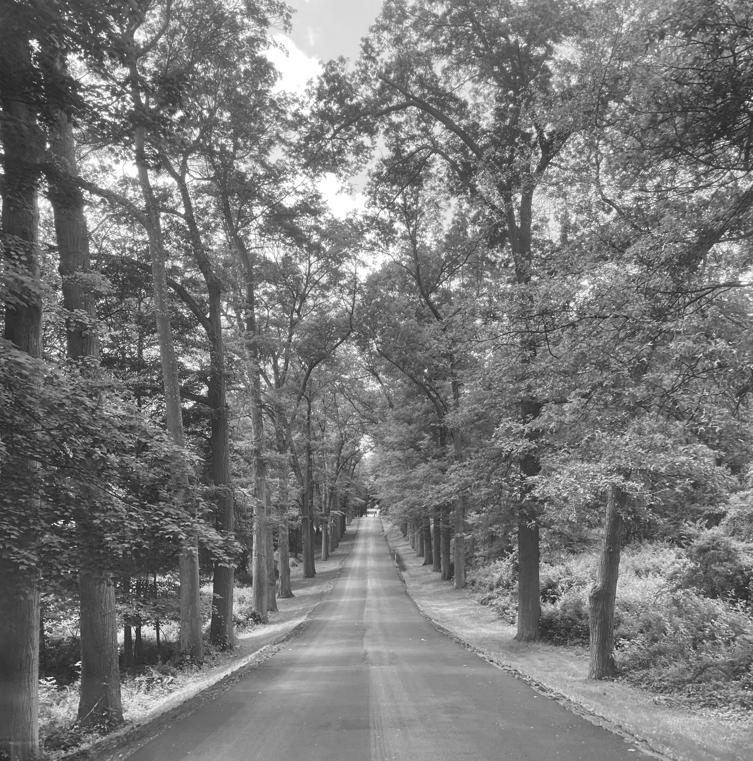 The Wedding Website of Hannah Cubiotti and Evan Clarke