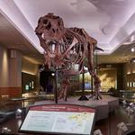 Field Museum of Natural History