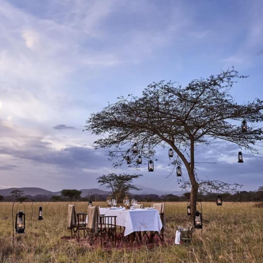 Candlelight Bush Dinner - Safari Honeymoon