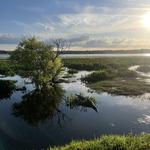 Lake Hollingsworth