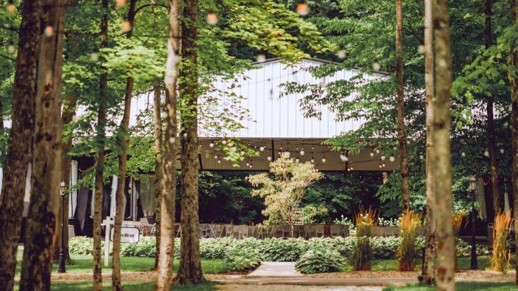 The Wedding Website of Maddy Brickner and CJ McGhee